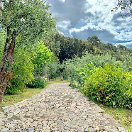 Soldati * Tellaro